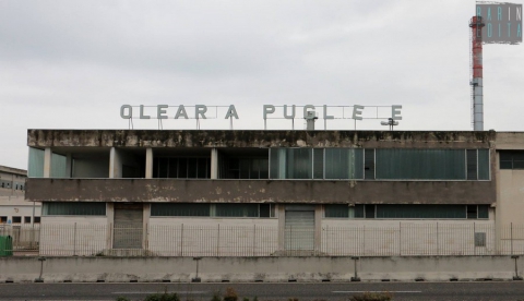 La spettrale Statale 96: un tempo "via dello shopping", ora cimitero dei capannoni